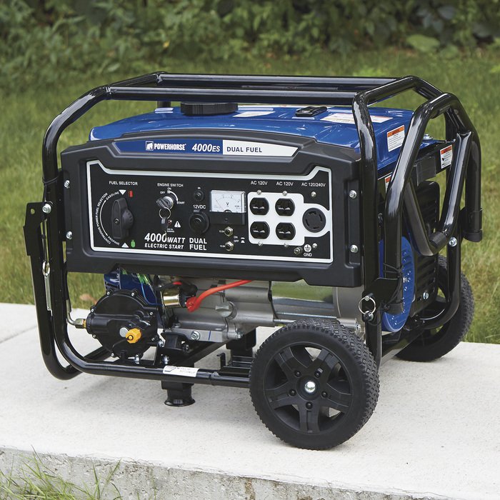 Powerhorse 750134 Dual Fuel Generator with Electric Start - 4000 Surge ...